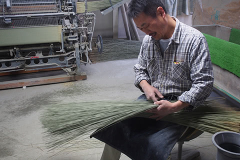 生産者:熊本県、碇(いかり)さん