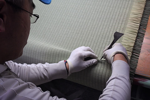 生産者:熊本県、深川(ふかがわ)さん