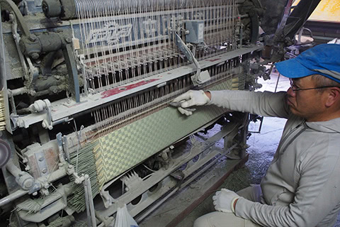 生産者:熊本県、深川(ふかがわ)さん